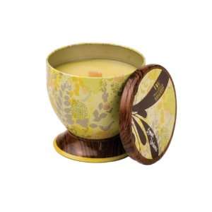  Lemon Verbena WoodWick Gallerie Collection Candle: Home 