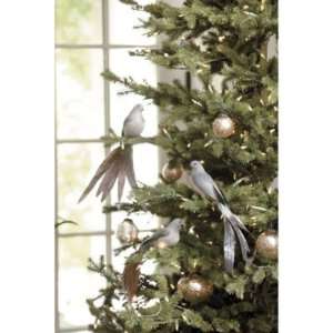  Oiseau Clip Ornaments   Set of 4  Ballard Designs: Home 