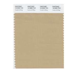  Pantone 16 0920 TCX Smart Color Swatch Card, Curds & Whey 