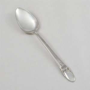  First Love by 1847 Rogers, Silverplate Teaspoon: Kitchen 