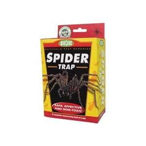  SPIDER TRAPS 