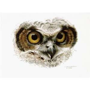  Carl Brenders   Great Horned Owl Study Signed Open Edition 