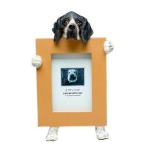  German Shorthaired Pointer Photo Frame: Everything Else