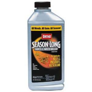  Ortho Season Long Weed & Grass Killer Concentrate   40 oz 