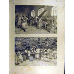   1891 French School Kabylie Children Taorist Beni Yenni: Home & Kitchen