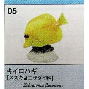 Yellow Tang Zebrasoma Flavescens High Grade Exotic Fish Replica 
