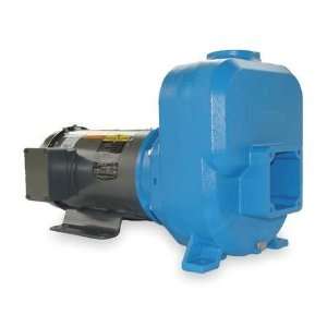  GOULDS 50SPH40 Centrifugal Pump,Self Priming,5 HP: Home 