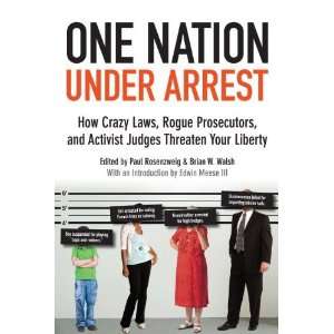  One Nation Under Arrest How Crazy Laws, Rogue Prosecutors 
