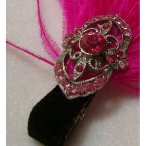  NEW HOT Pink Ostrich Feather Clip, Limited.: Beauty