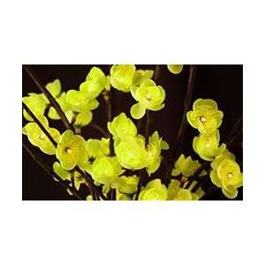  Battery Operated LED Green Plum 60 Bulb   20 Inches: Home 