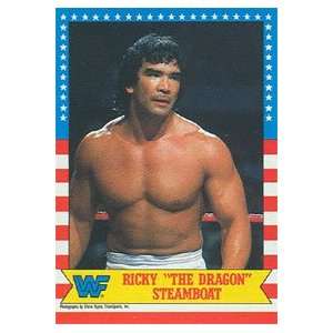 1987 WWF Topps Wrestling Stars Trading Card #21 : Ricky The Dragon 