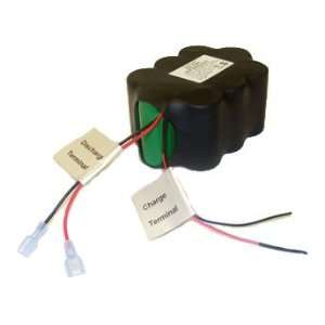  Customize NiMH Battery Pack: 12V 10Ah (3x4x3D) with F2 