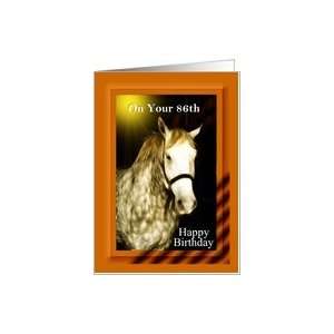  86th Happy Birthday ~ Rodeo Horse Card: Toys & Games