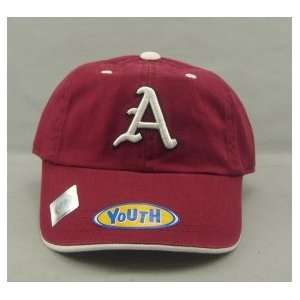  Arkansas Razorbacks Youth Crew Adjustable Hat Sports 