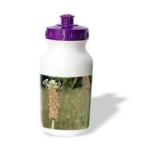   Sanders Flowers   early summer flower   Water Bottles Sports