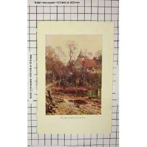    Colour Print View Pyrford Church Woking England