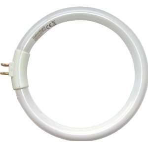  12W Circular Flourescent Tube (5,000K)