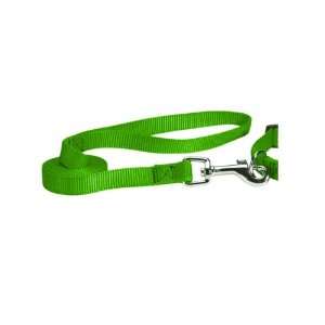    Guardian Gear Nylon Dog Lead, 4 Feet, Electric Lime: Pet Supplies