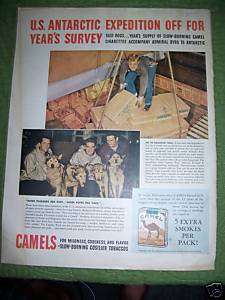 1940 Camel Cigarettes Antarctic Sled Dogs Ad  