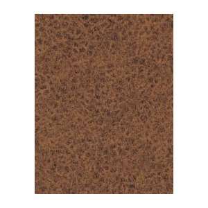 Wilsonart Laminate 5 x 12  Western Hills