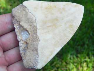 Carved Pacific Megalodon Shark Tooth PREHISTORIC HUNTER  