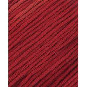   West Trading Company Dream Big Yarn 622 Red: Arts, Crafts & Sewing