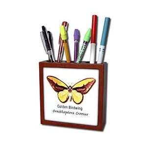  Boehm Graphics Butterfly   Golden Birdwing Butterfly 