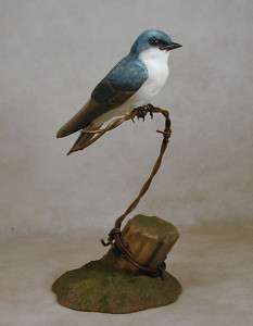 Tree Swallow Original Bird Wood Carving  