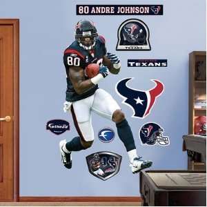  Andre Johnson Wide Receiver Houston Texans Fathead NIB 
