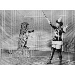   Shop of Denver. Leopard and female trainer in cage.