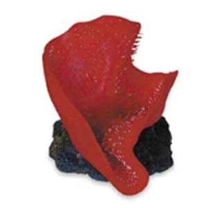    Aquarium Systems SeaGarden Anemone Elephant Red Plant