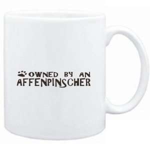    Mug White  OWNED BY Affenpinscher  Dogs: Sports & Outdoors