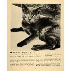  1934 Ad Otis Elevator Maintenance Black Cat Padded Paws 
