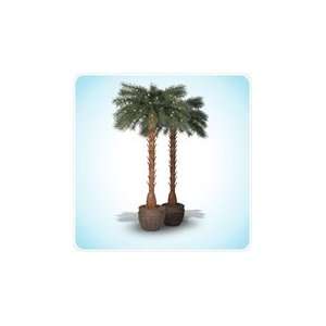  2 pack of 5 Coronado Bay Prelit Artificial Palm Trees 