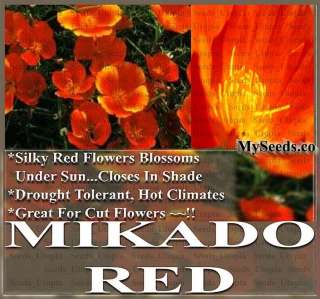 1,000 / BULK California Poppy Flower Seeds   Mikado Red Eschscholzia 