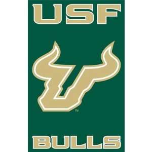  ThePartyAnimal AFSFL South Florida Bulls Appliqué Banner 