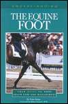 Understanding the Equine Foot Your Guide to Horse Health Care and 