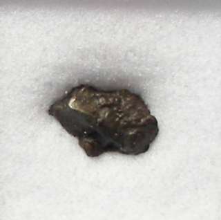 Collection Starter Meteorite SIKHOTE ALIN Micro Display  