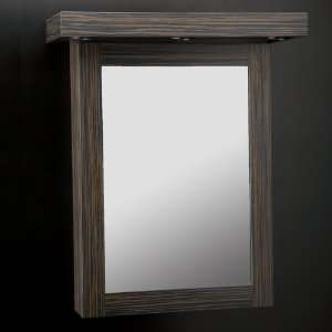: Lacava Wall Mount Medicine Cabinet W/ Mirrored Door & 3 Adjustable 
