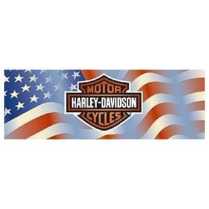  AMERICAN BAR & SHIELD CENTERED 66X20 HARLEY DAVIDSON REAR 