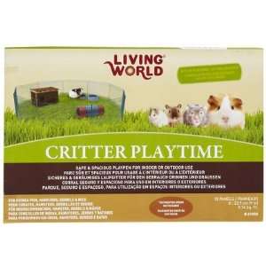 Critter Play Time (Quantity of 2)