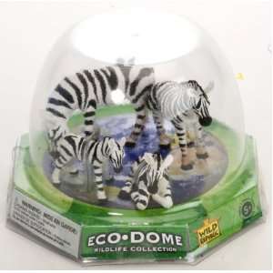  Eco Dome Zebra Toys & Games
