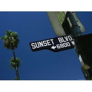 com Looking up at Sunset Boulevard Sign with Palm Tree in Background 