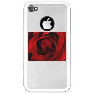  iPhone 4 or 4S Clear Case White Red Rose 