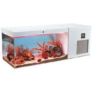 Aquarium, The Mini Ocean  Industrial & Scientific