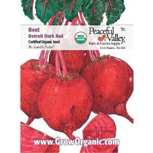  Organic Beet Seed Pack, Detroit Dark Red: Patio, Lawn 
