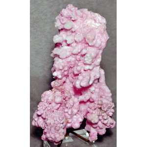  Aragonite Rare Pink Aragonite Natural Crystal Specimen 