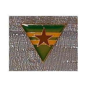 FIREFLY / SERENITY BROWNCOATS LOGO PIN: Everything Else