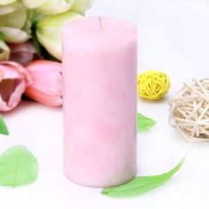   Party Aromatherapy Candle Decor   Pale Pink  Home