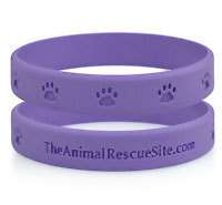 Animal Rescue Charity Wrist band PAWS Purple New cute  